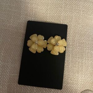 Beautiful Pale Yellow Earrings